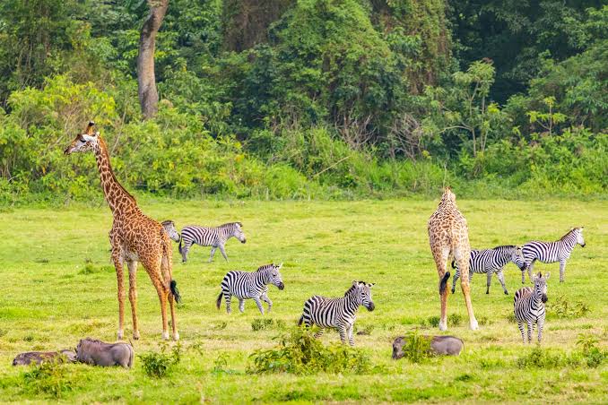 Arusha Day Trips, Tanzania