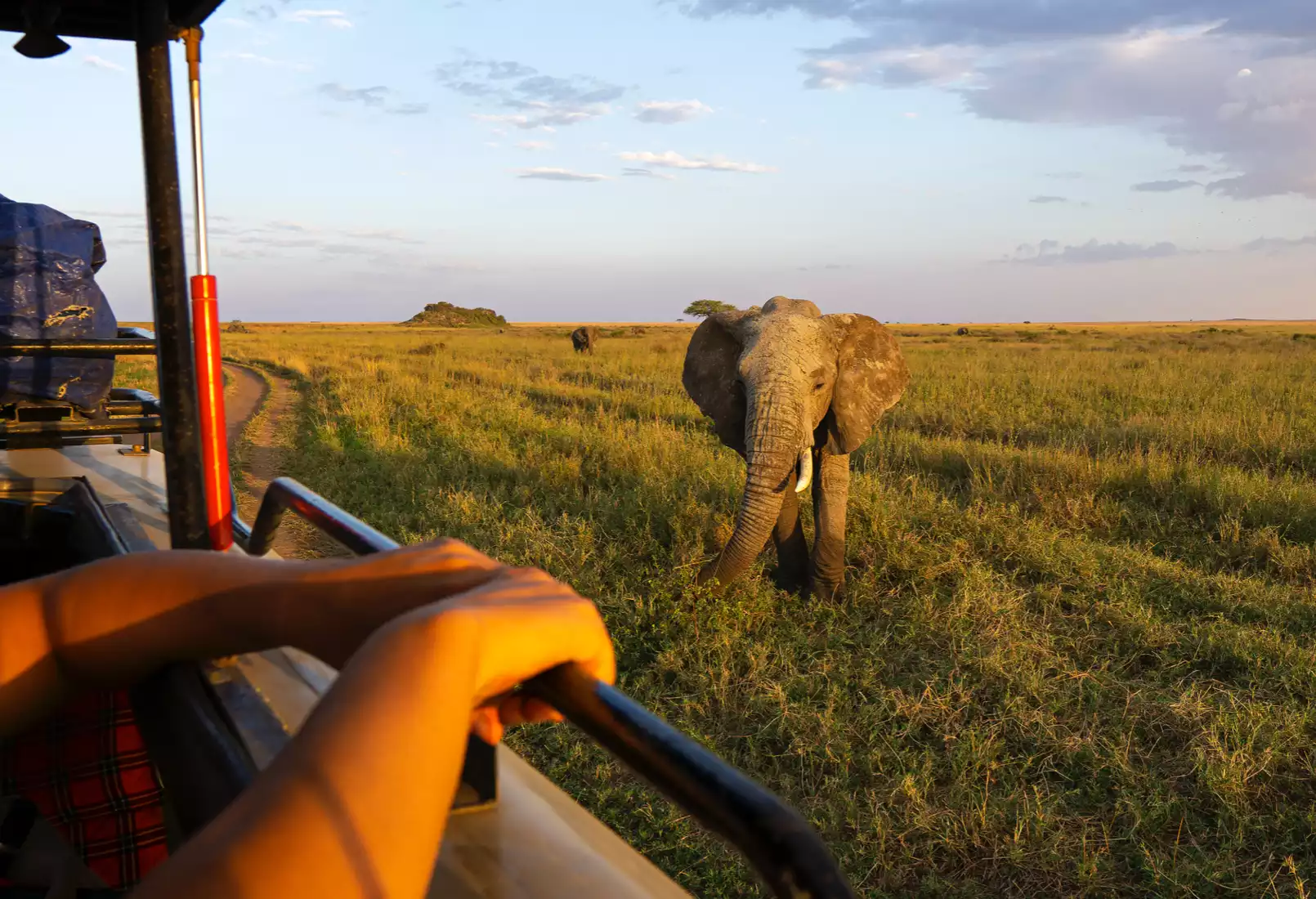 Luxury Safaris in Tanzania