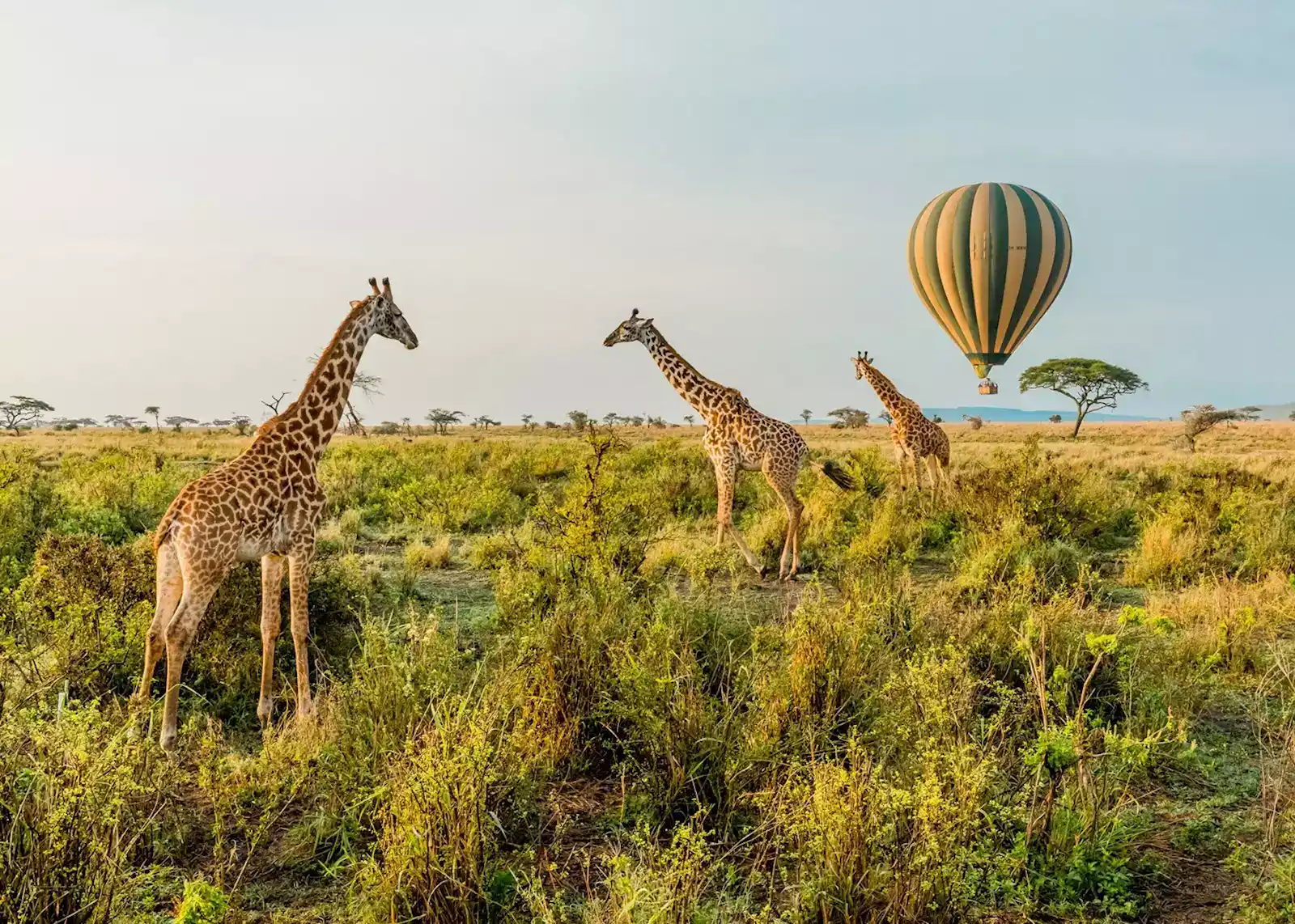 Adventures in Tanzania