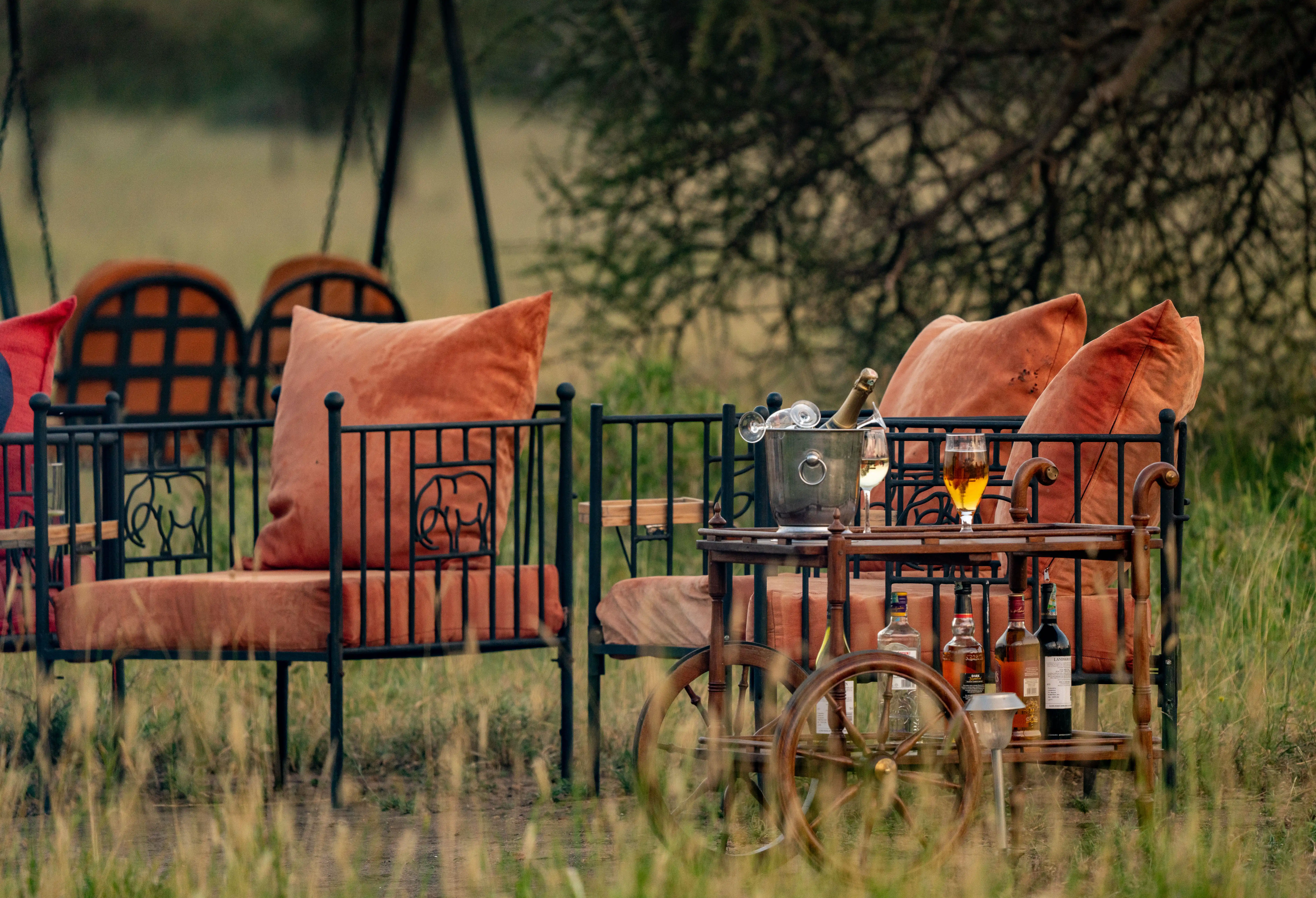 Honeymoon Safaris in Tanzania