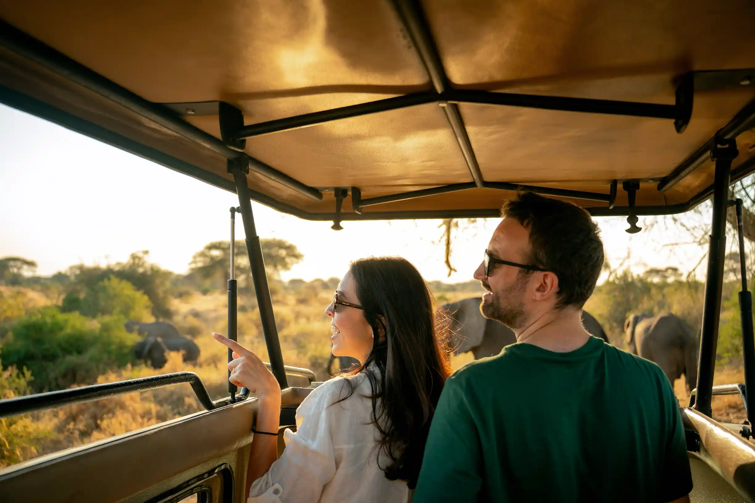 Endless Serengeti plains with acacia tree and wildebeest herds